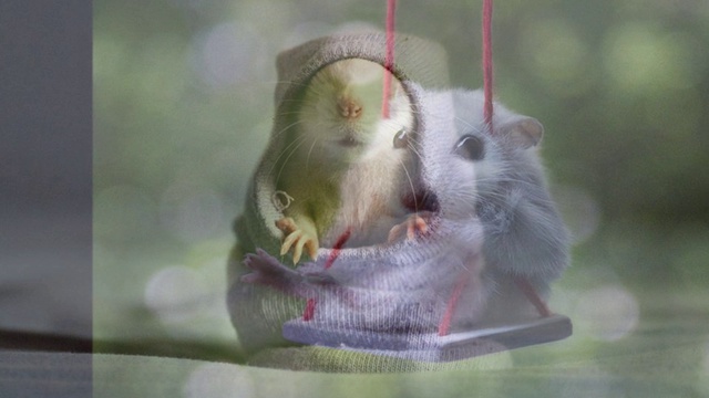 Yiruma. River Flows In You.