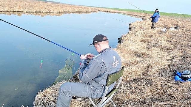 Поплавок не знает покоя. Поклевки частые - рыба разная, крупная и не очень. Рыбалка на удочку весно смотреть онлайн