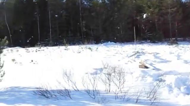 Гибель Клетинского Бора (часть 2) смотреть онлайн