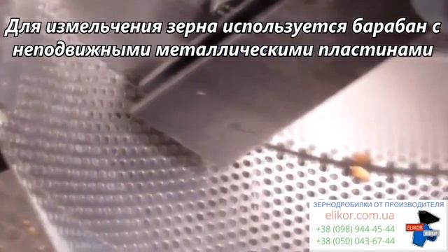 Зернодробилка Эликор 1 (Зерно + Корнеплоды)