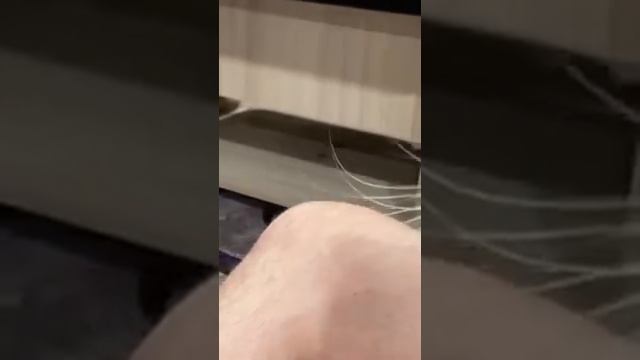 Кот финская полька смотреть онлайн