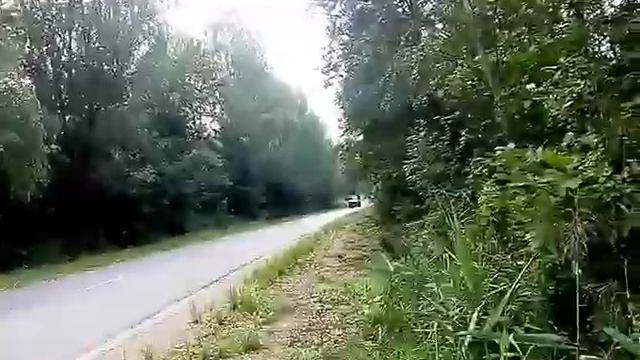 Перевозка зерна МАЗОм(Вировля) смотреть онлайн