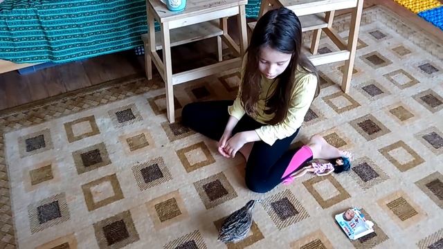 Перепел из магазинных яиц - этот крик у нас песней зовется... смотреть онлайн