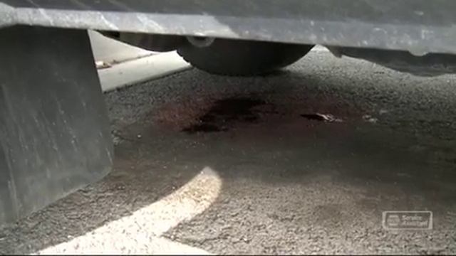 NAPA Transmission Service смотреть онлайн