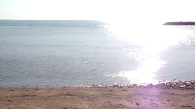 Персидский залив Декабрь смотреть онлайн