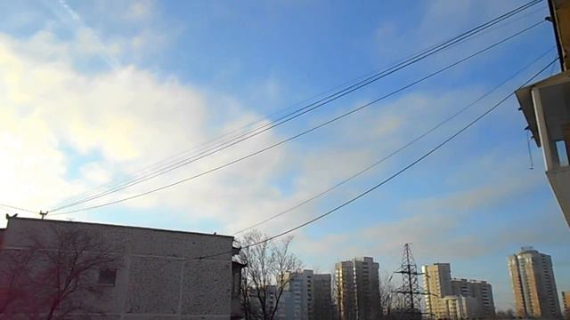 КОКОС и РОМАШКА ЗАХОТЕЛИ ПИТЬ! смотреть онлайн