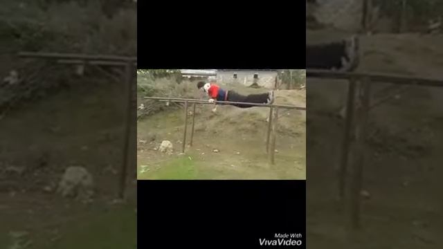 Абдулгасан курбанов по дзюдо в горах Дагестан смотреть онлайн