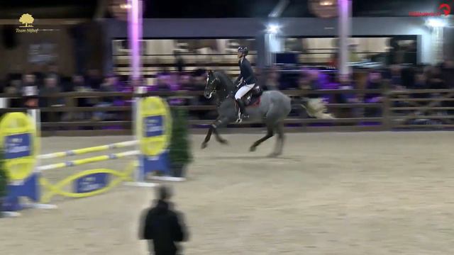 Paardenkrant-Horses.nl - Videotheek смотреть онлайн