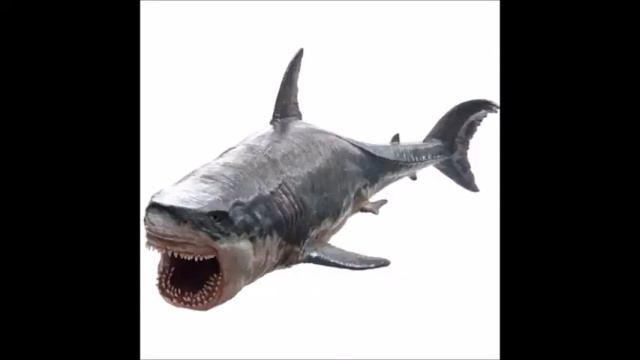 The Black Demon, Gigantic Shark Of Mexico:  Mexico Unexplained