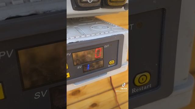 Холодное и горячее копчение рецепты