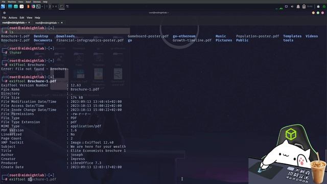 HackMyVm Economists Writeup! смотреть онлайн