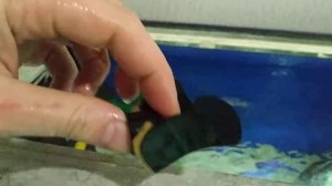 Аэрация в аквариуме рябь