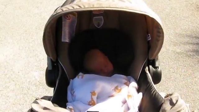 Matteo's First Stroll смотреть онлайн