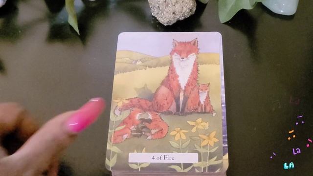 The Witches' Wisdom Tarot - Flip Through! ? смотреть онлайн