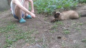 доброе утро от Кирюшки 04 июня 2022