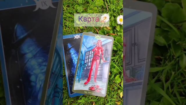 Подсказка на неделю от Таро "Книга Теней". Выбирай 1 из 3 и слушай описание!) смотреть онлайн