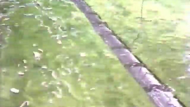 EWPG Archive: 9 (of 10) Duck string in Wide Tank смотреть онлайн