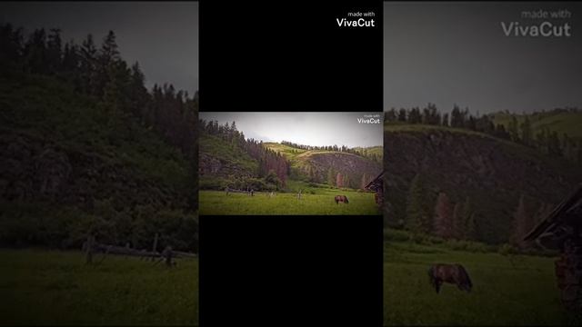 Алтай 2021, конный трек к горе Белуха смотреть онлайн
