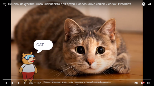 Scratch AI. Распознавание кошек и собак при помощи дополнительного модуля искусственного интеллекта