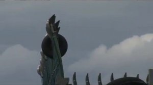 Технология заготовки кормов (силос, сенаж). Часть 3