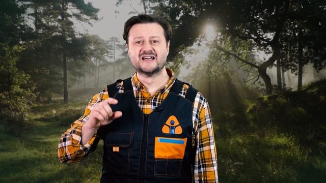 Сила леса №1.mp4 смотреть онлайн