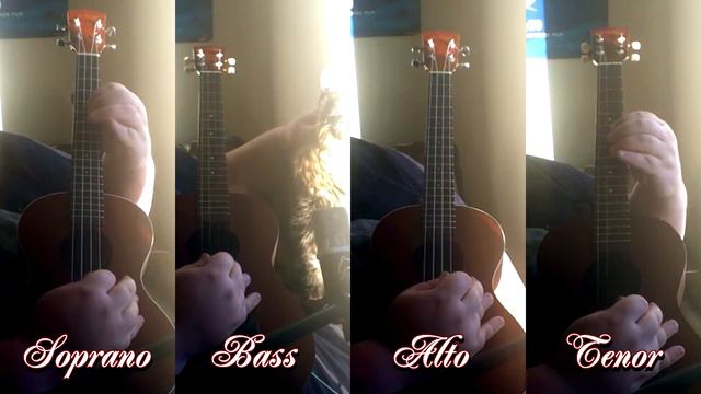 Carol of the Bells (Mykola Leontovych) arranged for uke смотреть онлайн