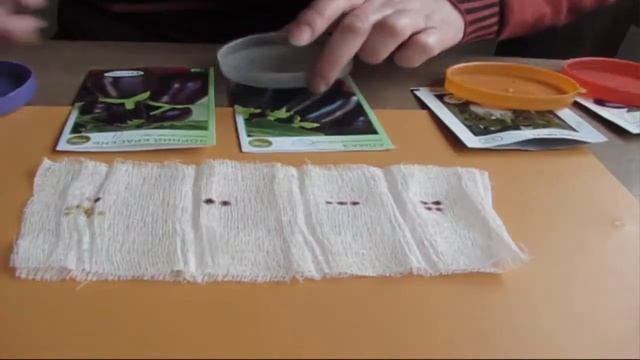 Домовладелец Pro