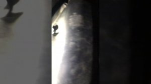 Дизеление двс Киа Рио 3