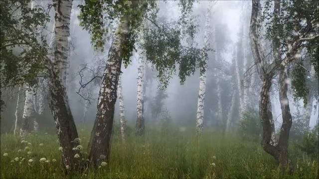 Платье (караоке + бэк - вокал) смотреть онлайн