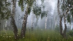 Платье (караоке + бэк - вокал)