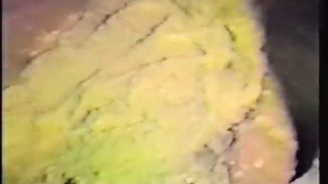 Death Of Joe Burrus / Buried Alive (A Current Affair)