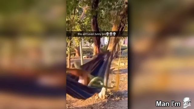 Extreme Try Not To Laugh Challenge!