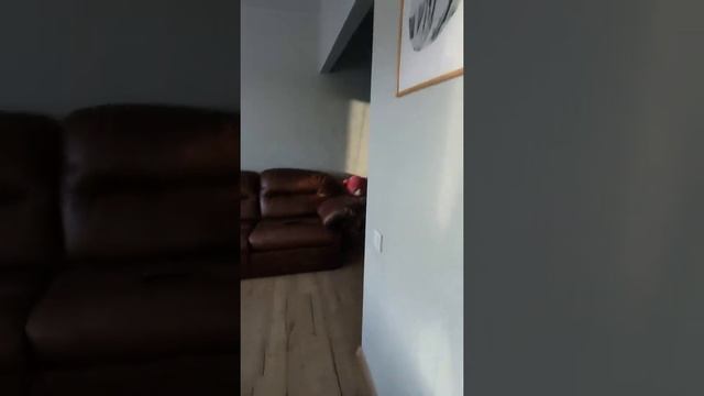 Мини зал-мини спальня смотреть онлайн