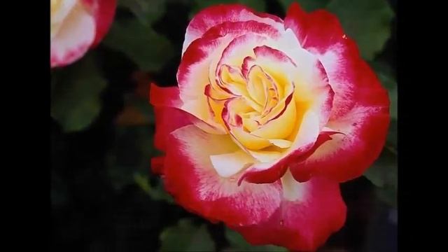 Инна, Инночка, Иннусик!!!!!!!!!!!!! смотреть онлайн