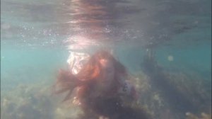 red mermaid girl underwater