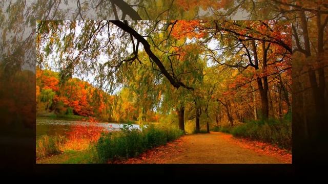 Краски осени, осенние краски. смотреть онлайн