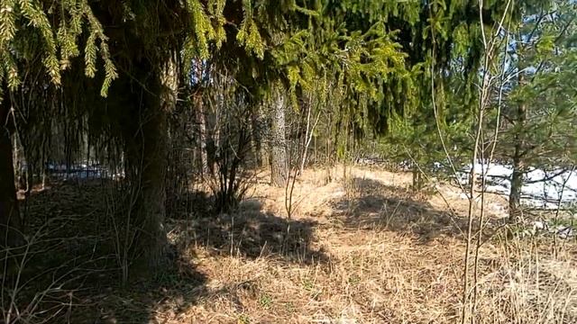 Сезон Открыт Село 1320 года Приключения и Находки. смотреть онлайн