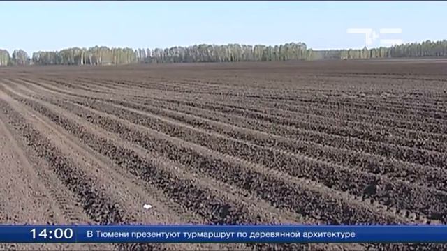 Тюменская делегация работает в Казахстане смотреть онлайн
