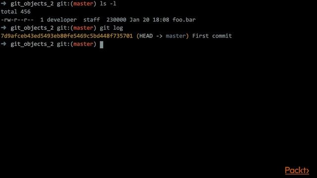 Conquering Git: Advanced Training Guide: Repository Maintenance Git Garbage Collection| packtpub.co смотреть онлайн