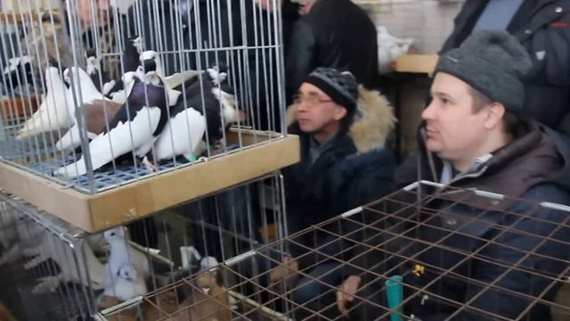 Москва 18-19 января ЦСКА. смотреть онлайн