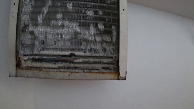 Обзор отеля Villa Sonata в Аланья, Турция