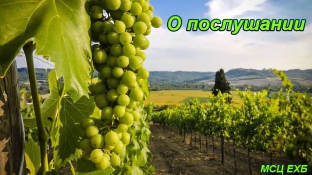 "О послушании". А. Горбунов. МСЦ ЕХБ. смотреть онлайн