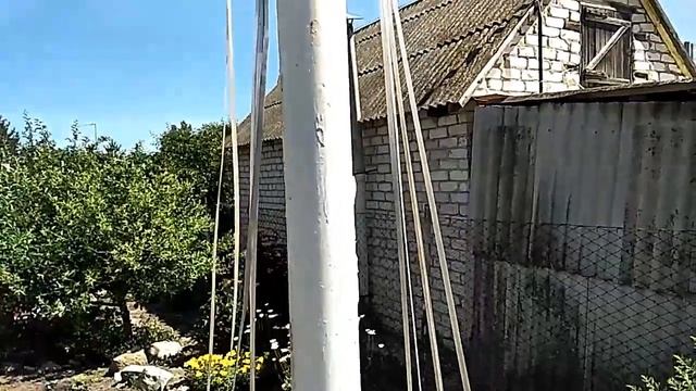 Фасолевая "Ёлка" смотреть онлайн