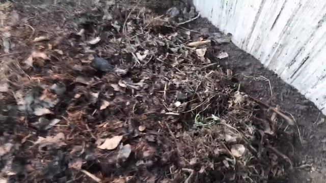 Живые плодородные грядки своими руками выращивание редиса смотреть онлайн