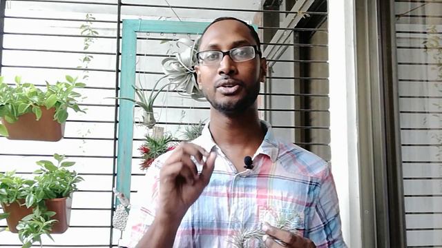 বাংলাদেশের উপযোগী এয়ার প্ল্যান্ট/ দাম / কোথায় পাবেন - Different Air Plants for Bangladesh смотреть онлайн