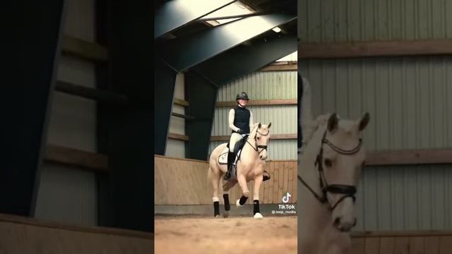 beautiful ❤️✨ #equestrian #horses #лошади #выездка #эдит #dressage #эстетика ✨? смотреть онлайн