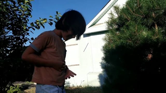 Ловушка для ёжика! Утро в деревне смотреть онлайн