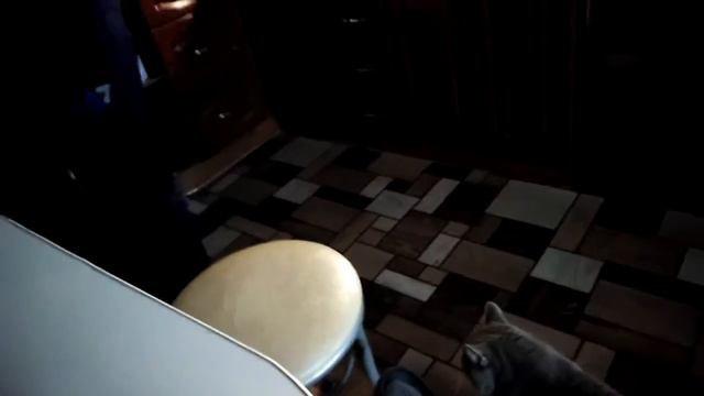 Шайтан в коте смотреть онлайн