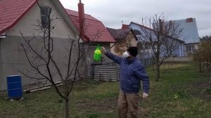 ВЕСЕННИЕ ОПРЫСКИВАНИЕ САДА 3% МЕДНЫМ КУПОРОСОМ.СПАСАЮ САД ОТ ГРИБКОВЫХ ЗАБОЛЕВАНИЙ.