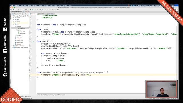 Basic web application with Golang by NikiD смотреть онлайн